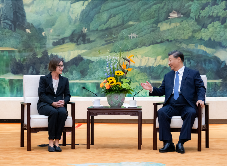习近平会见红十字国际委员会主席斯波利亚里茨